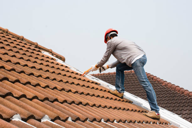 Best Roof Coating and Sealing  in Rock Port, MO